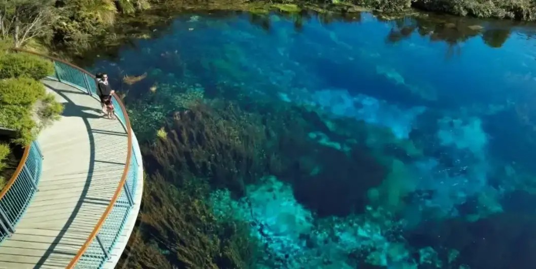 网赌负盈利账号变现